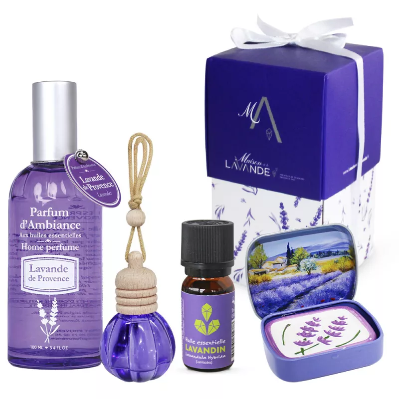 coffret Diffuseur de Parfum et recharge Lavande - Lavandula hybrida