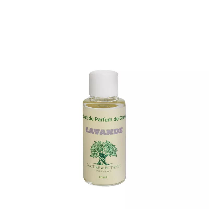 Parfum d'Ambiance Lavande 15 ml - Pour Diffuseur Plâtre