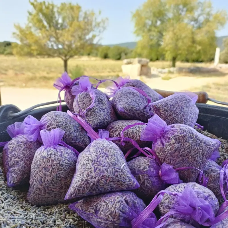 10 little bags of lavender - Purple Organza | Shop