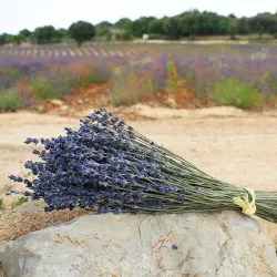 Petit sachet brodé de Fleurs de Lavande & Lavandin - Esprit Provence