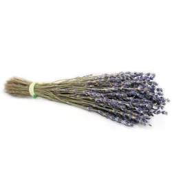 Fine Lavender Bunch | French Lavender Shop