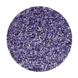 Fine Lavender Dried Flowers - 500g | Shop