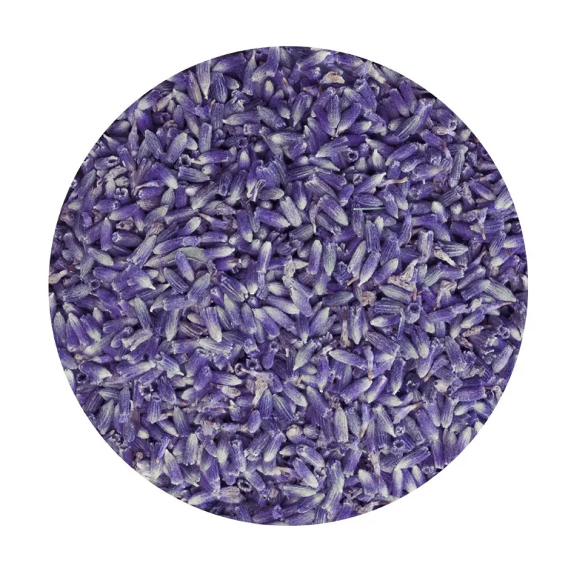 Fine Lavender Dried Flowers - 500g | Shop Fine Lavender Dried Flowers - 500g | Shop
