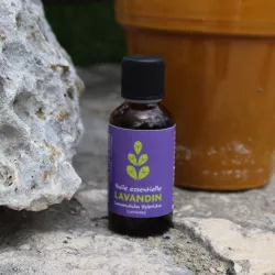 Essential Oil of Lavandin - Dropper 50 ml | Shop