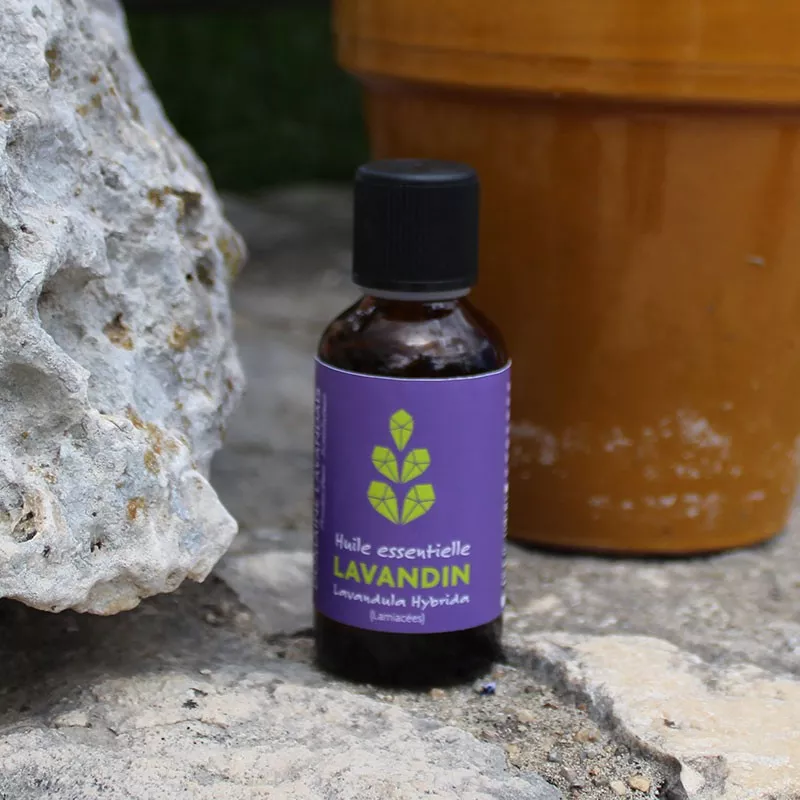 Essential Oil of Lavandin - Dropper 50 ml | Shop